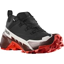Herenschoenen Salomon  Cross Hike GTX 2