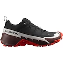 Herenschoenen Salomon  Cross Hike GTX 2
