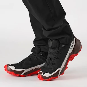 Herenschoenen Salomon  Cross Hike GTX 2