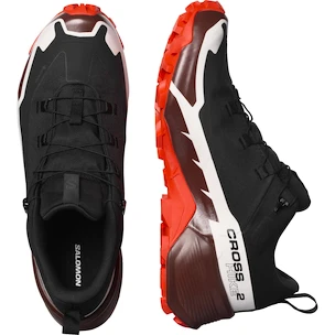 Herenschoenen Salomon  Cross Hike GTX 2
