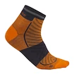 Herensokken Icebreaker Merino Run+ Ultralight Mini Ray/Graphite  L