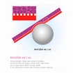 Hoes Joola  Rhyzer 43