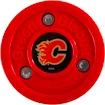 IJshockeypuck Green Biscuit  Calgary Flames
