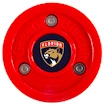 IJshockeypuck Green Biscuit  Florida Panthers