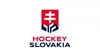 Slowaaks ijshockeyteam