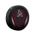 Inglasco Inc.  Stitch Arizona Coyotes