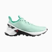 Kinder hardloopschoenen Salomon  Alphacross Blast Yucca/White