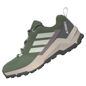 Kinder outdoorschoenen adidas Terrex AX4R Silver Green/ Linen Green/Preloved Fig