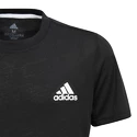 Kinder T-shirt adidas  B Escouade Tee Black