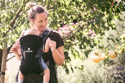 Kinderdrager Little Life  Acorn Baby Carrier