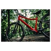 Kinderfiets Woom 5 Explore Jungle Green