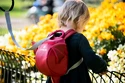 Kinderrugzak Little Life  Toddler Backpack