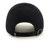 Pet 47 Brand  Clean Up NHL Boston Bruins