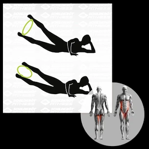 Pilates ring Schildkröt  Pilates Ring