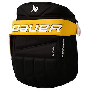 Rugzak Bauer  Glove Backpack Boston Bruins