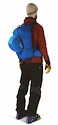 Rugzak OSPREY  Kamber 20 alpine blue