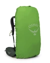 Rugzak OSPREY Kestrel 38 Bonsai Green L/XL