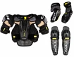 Set van beschermers