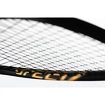 Squashracket Head  Graphene 360+ Speed 120 SB