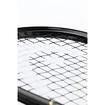 Squashracket Head  Graphene 360+ Speed 120 SB