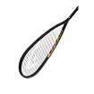 Squashracket Head  Graphene 360+ Speed 120 SB