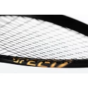 Squashracket Head  Graphene 360+ Speed 120 SB