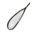 Squashracket Head  Graphene 360+ Speed 120 SB