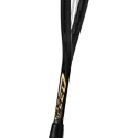 Squashracket Head  Graphene 360+ Speed 120 SB