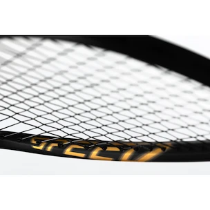 Squashracket Head  Graphene 360+ Speed 120 SB