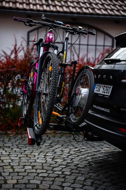 Stepdrager voor de trekhaak TMK  FLY Footbike 02 - black