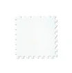 Synthetisch ijs WinnWell  10-Pack