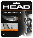 Tennis besnaring Head  Velocity (12 m)