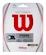 Tennis besnaring Wilson  NXT Power