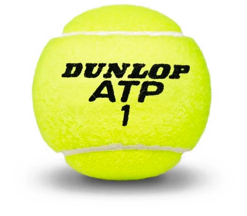 Tennisballen Dunlop  ATP Championship (4 Pack)