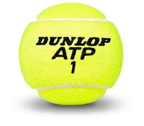Tennisballen Dunlop  ATP Championship (4 Pack)