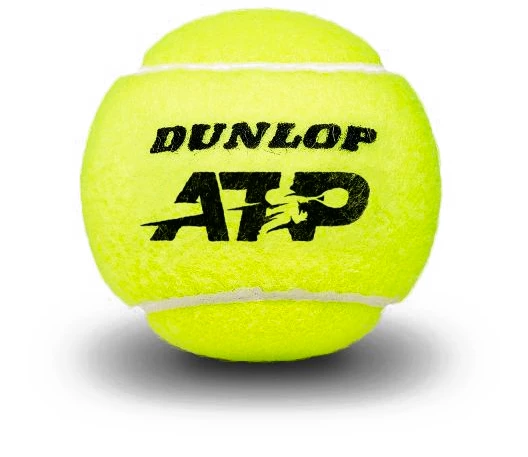 Tennisballen Dunlop  ATP Official Ball (4 Pack)