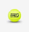 Tennisballen Dunlop  Fort All Court TS