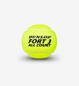 Tennisballen Dunlop  Fort All Court TS