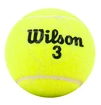 Tennisballen Wilson  Championship (4 St.)