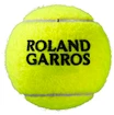 Tennisballen Wilson  Roland Garros All Court (4 Pack)