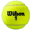 Tennisballen Wilson  Roland Garros All Court (4 Pack)