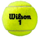 Tennisballen Wilson  Roland Garros All Court (4 Pack)