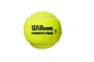 Tennisballen Wilson  Triniti Pro (4 St.)