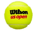 Tennisballen Wilson  US Open (4 Pack)
