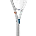 Tennisracket Wilson  Roland Garros Elite Adult