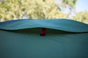 Tent Coleman  Darwin 4+