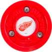 Trainingspuck Green Biscuit  Detroit Red Wings