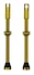 gouden