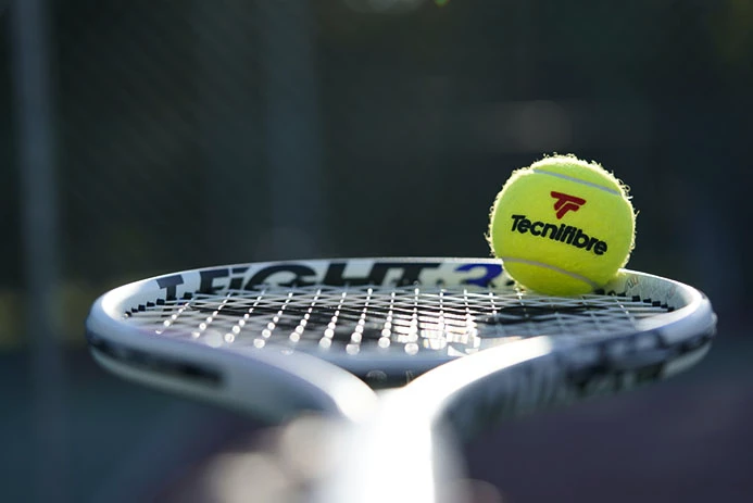 Tecnifibre tennisballen